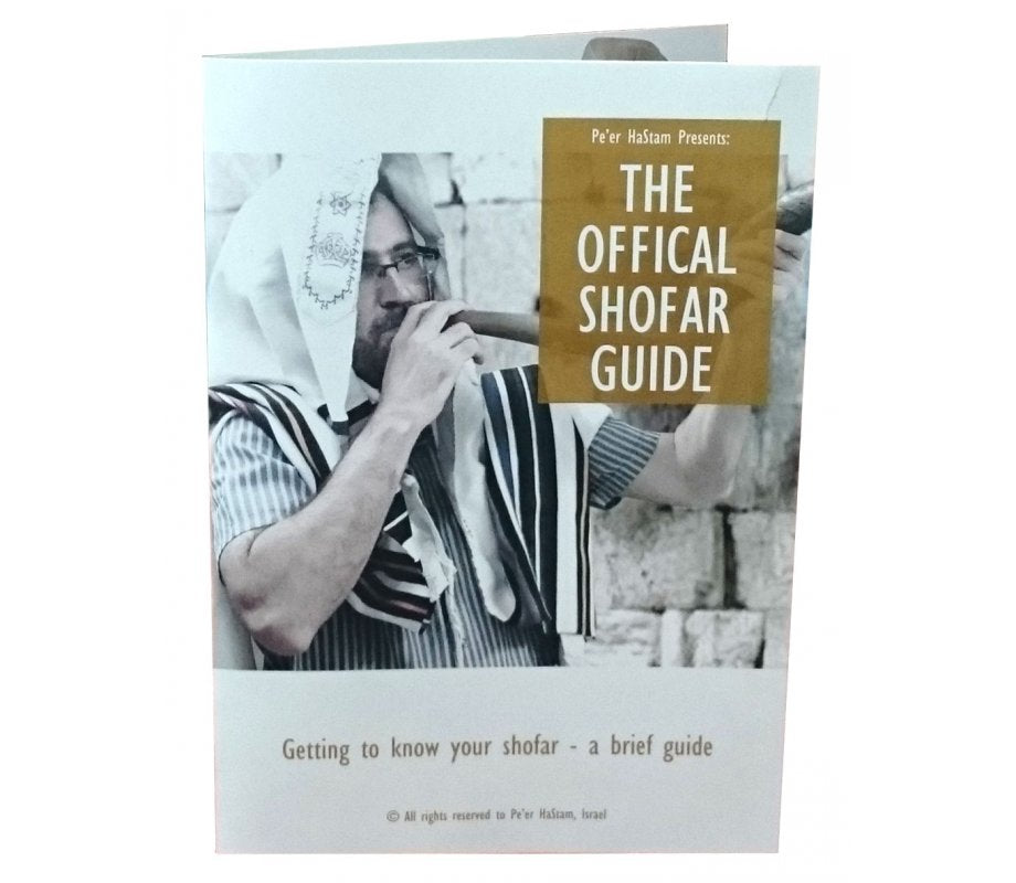 Small natural ram's horn shofar — additional view